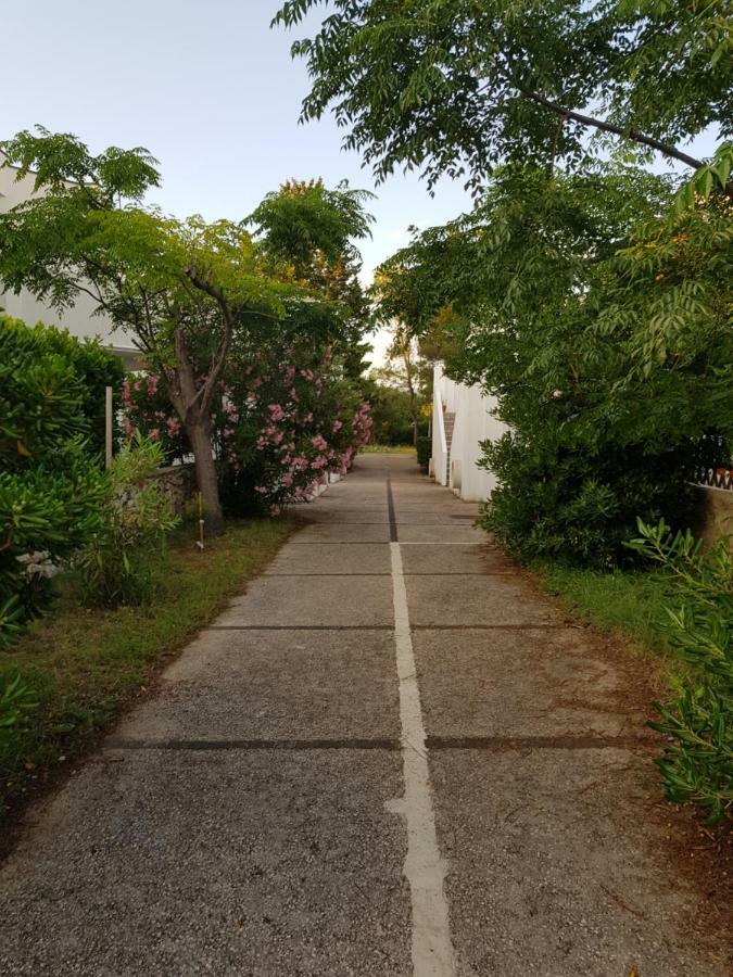 Apartment Gajac Zrce Novalja Luaran gambar
